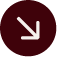 Seta